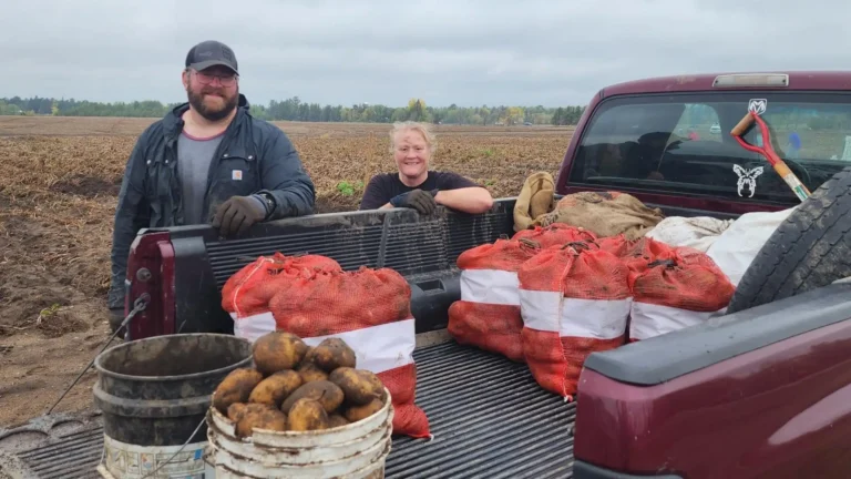 People posing beside bags of harvested potatoes outdoors