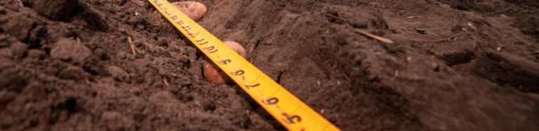 Measuring tape placed across soil surface